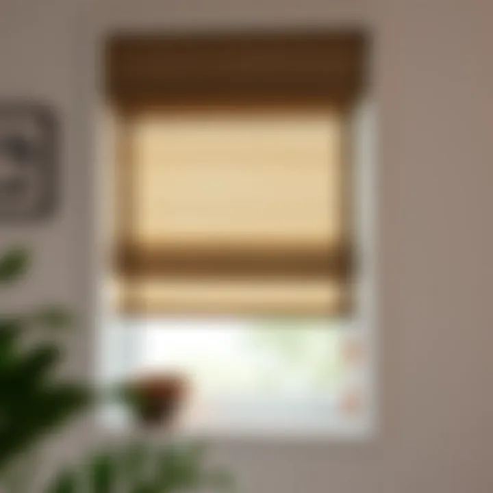 Maintenance tips for roller blinds