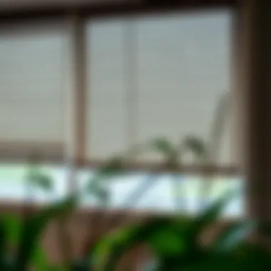 Different types of roller blinds