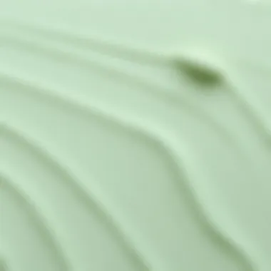 Close-up of a smooth suntalam paint finish