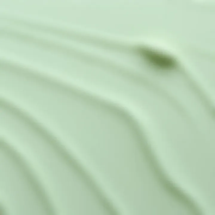 Close-up of a smooth suntalam paint finish