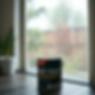 Comparison of regular paint versus water-resistant paint in humid conditions