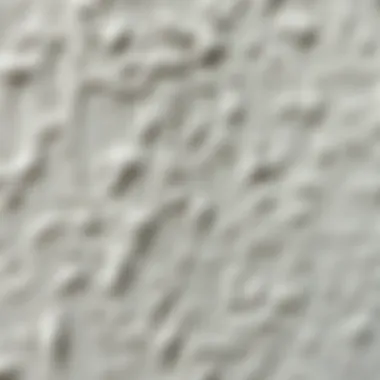 Close-up of textured water-resistant paint showcasing its durability