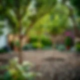 Beautiful garden scene with freshly planted trees