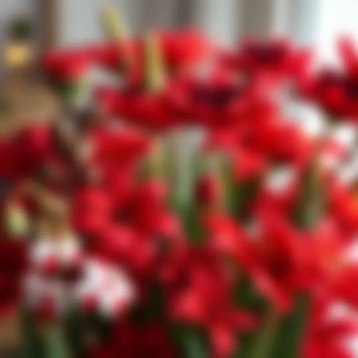 A collection of various types of red Christmas flowers arranged beautifully