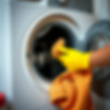 Cleaning technique for washing machines