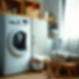 Efficient washing machine maintenance